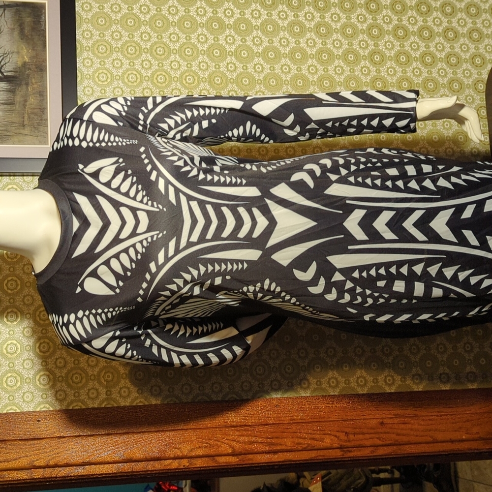 Black & White Form-Fitting Dress